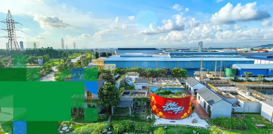 닌지엠 1 산업단지 – 샤이넥 회사